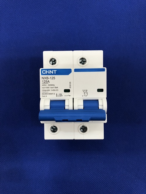 Áp tô mát Chint NXB-125 2P C125