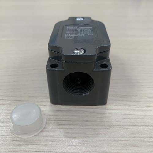 Công tắc hành trình Chint YBLX-WL/D2 90°