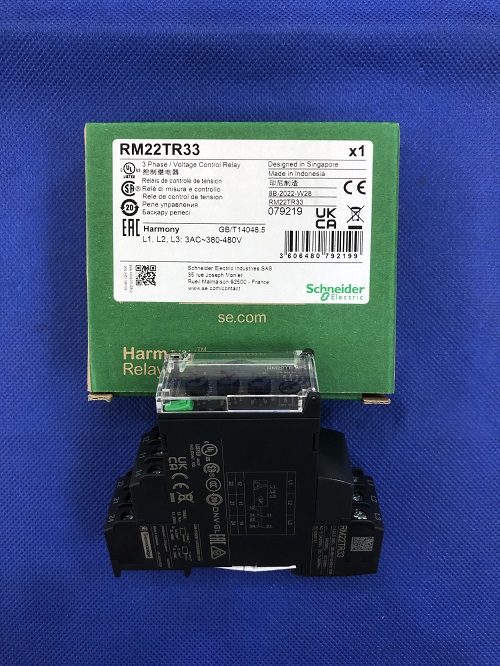 Relay bảo vệ Schneider RM22TR33